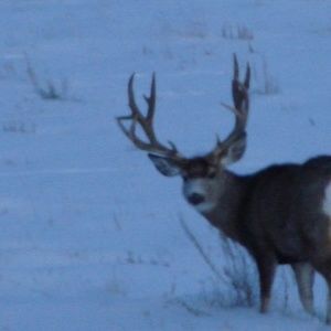 Meet your Posher, Dave